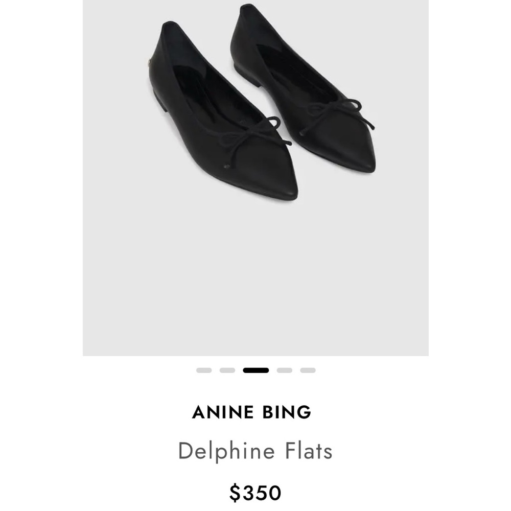 Anine Bing Delphine Flats Like New Size 38 (7.5US)